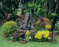 The museum is also home to the Ganesha statue which was carved in the 800s in Central Java located in the middle of the garden.